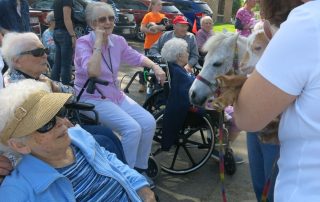 Marketing Pet Parade 2019