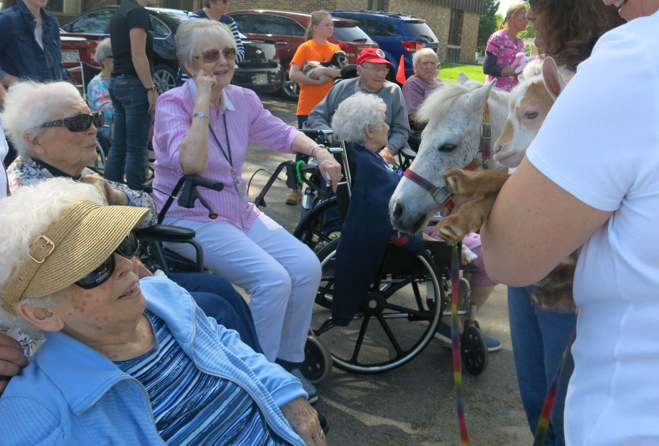 Marketing Pet Parade 2019